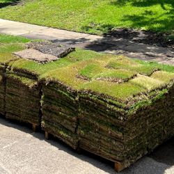 Grass Sod For Sale