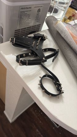 Small Dog Body, Leash And Collar Real Leather With Real Spikes