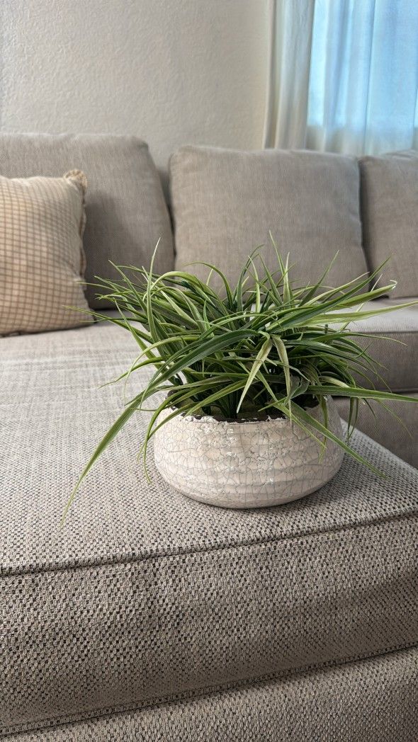 Decorative Potted Plant – Modern Ceramic Vase