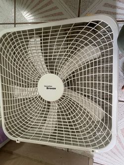 Hawaiian Breeze Box Fan 20”