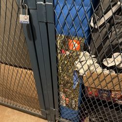 3 New Out Door Canopy’s And 3 Large Coolers