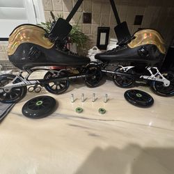 Inline Speed Skates Adult