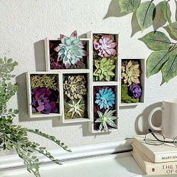 Artisan Watercolored Paper Succulents In Shadow Box Frame 13" x 10" - cactus cacti fake plants faux plants flowers - PORCH PICKUP ONLY , CASH ONLY 