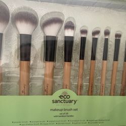Makeup Brushes 