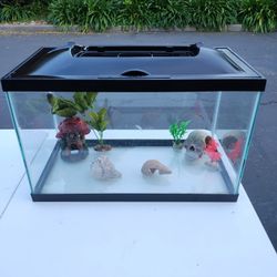 Fish Tank