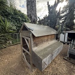 Large Chicken Coop