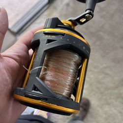Daiwa- Sealine X-SHA 1 Speed/Penn Squall 50LD. 1- Speed