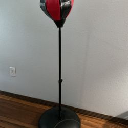 Punching Bag 