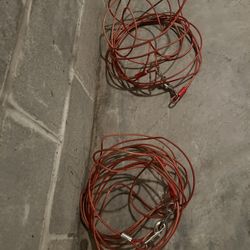 Dog Tie-out Cable