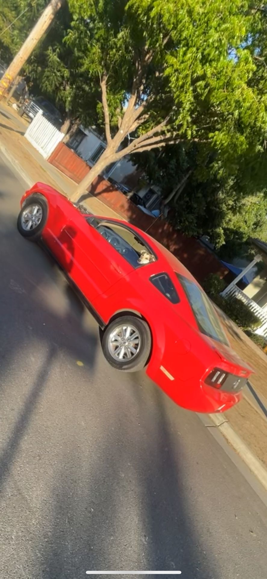 2007 Ford Mustang