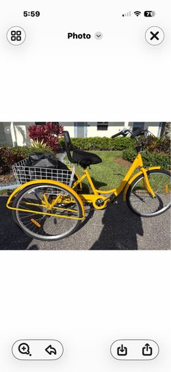 Adult Tricycle