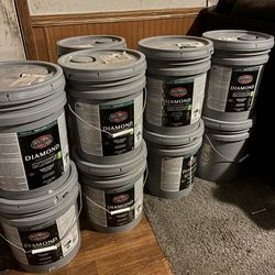 White interior paint/primer