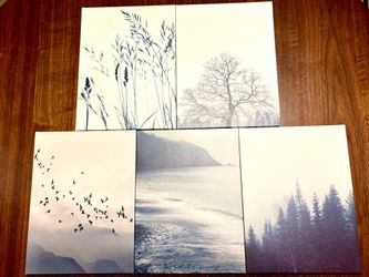 Set Of 5 Canvas Nature Prints
