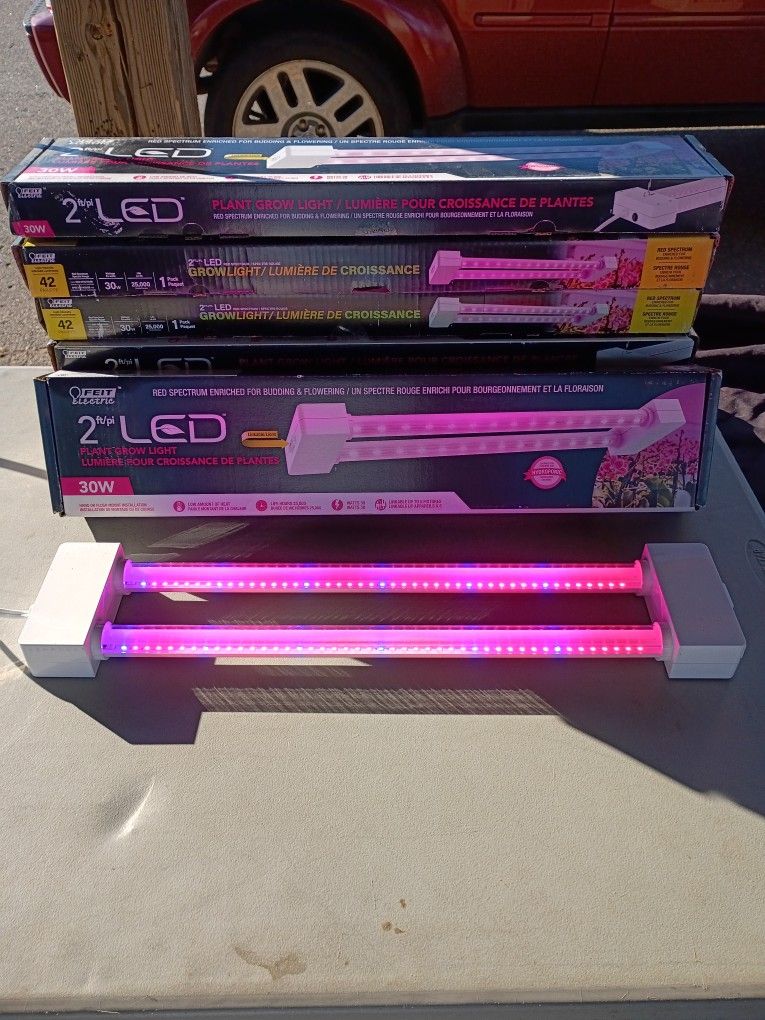 Grow Lights 19 Watt.. $1,800 For 240 Lights 