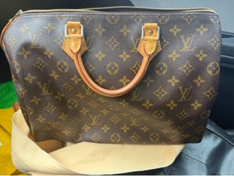 LV Purse