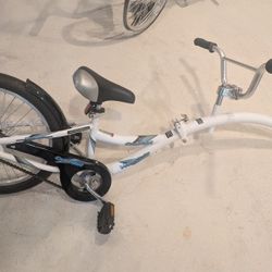 Wee Ride Co-Pilot Kids Bike Trailer 