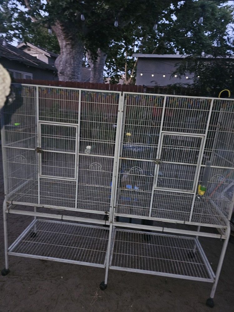 Bird Cage