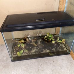 Selling Fish Tank First off takes it