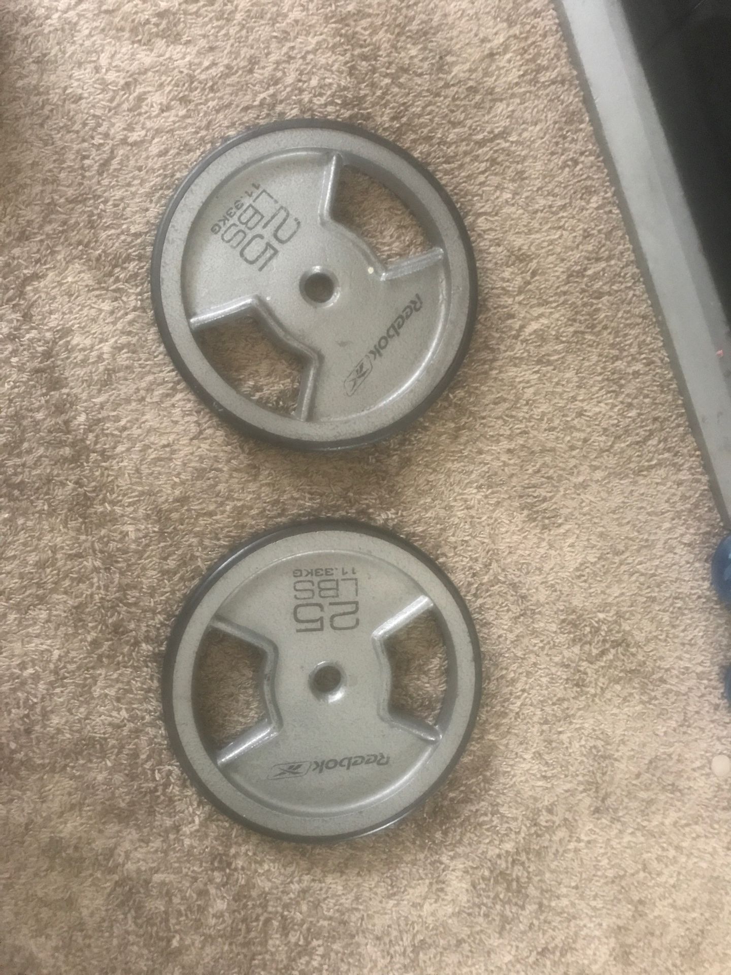 25lbs weights