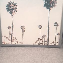 New Palm Tree Picture from Wayfair