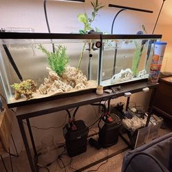 aquarium set up