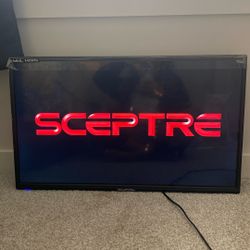Sceptre 32” TV