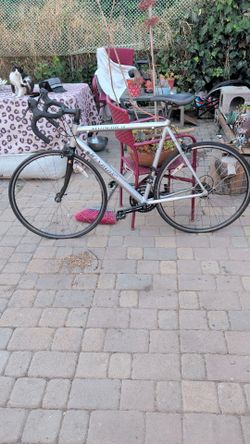 Windsor wellington 3.0 road bike