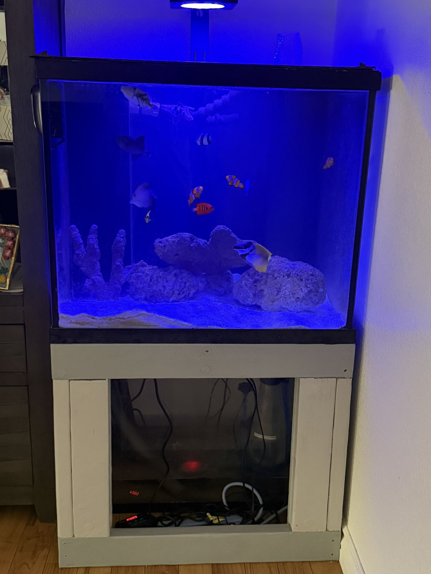 60 Gallon  Cube Fish Tank
