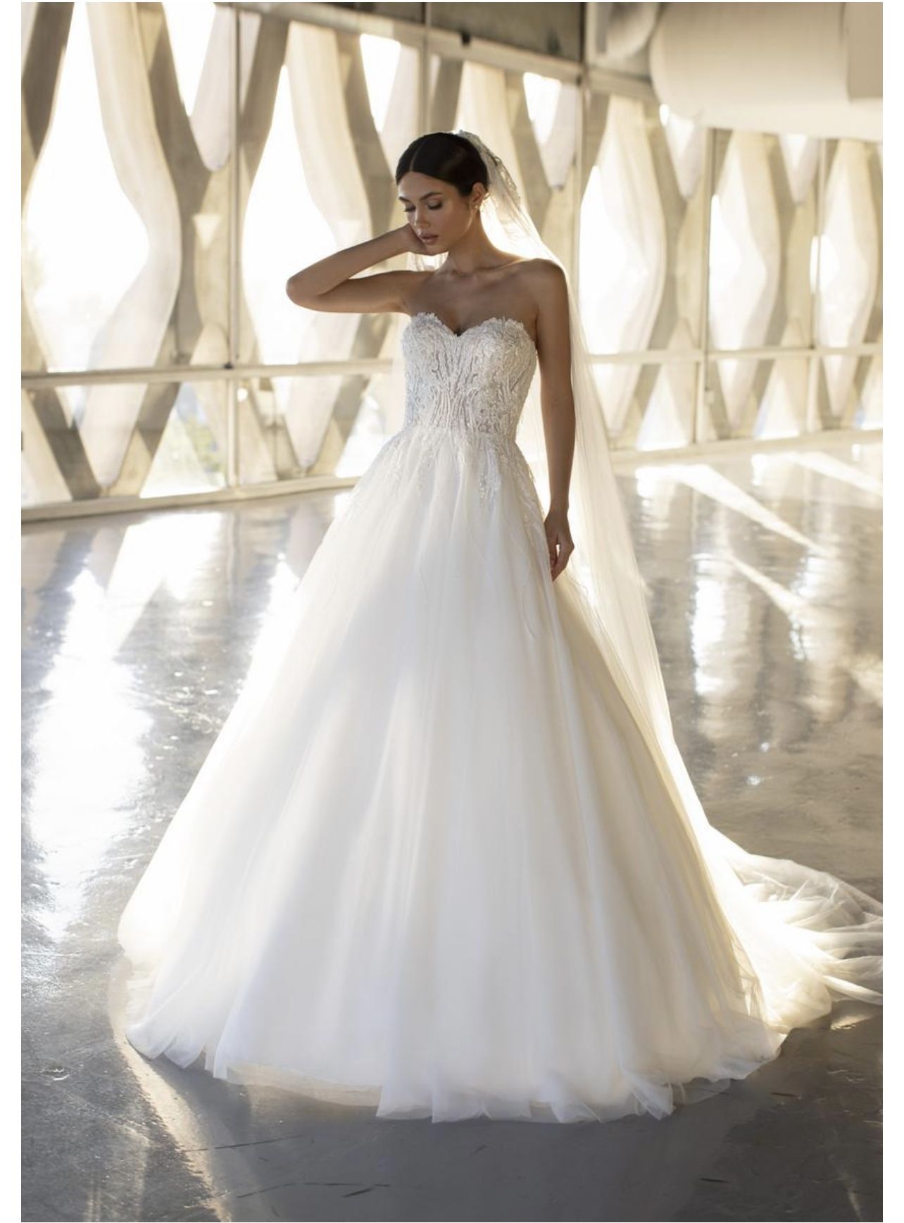 Ashley Graham Pronovias Parish Wedding Gown