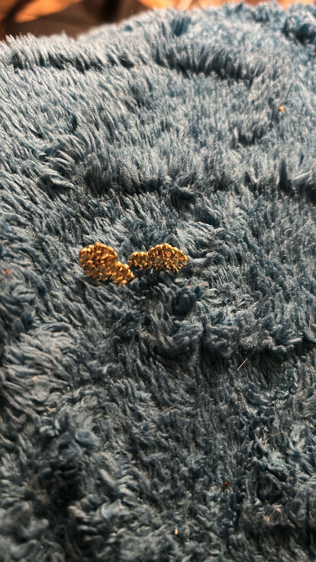 Gold Nugget Earingis