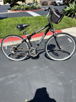 Specialized Crossroads Bike