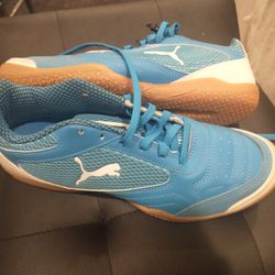 Puma Futsal Shoes