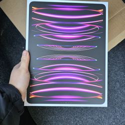 Apple iPad Pro 12.9" (2022 Latest Model) with Wi-Fi