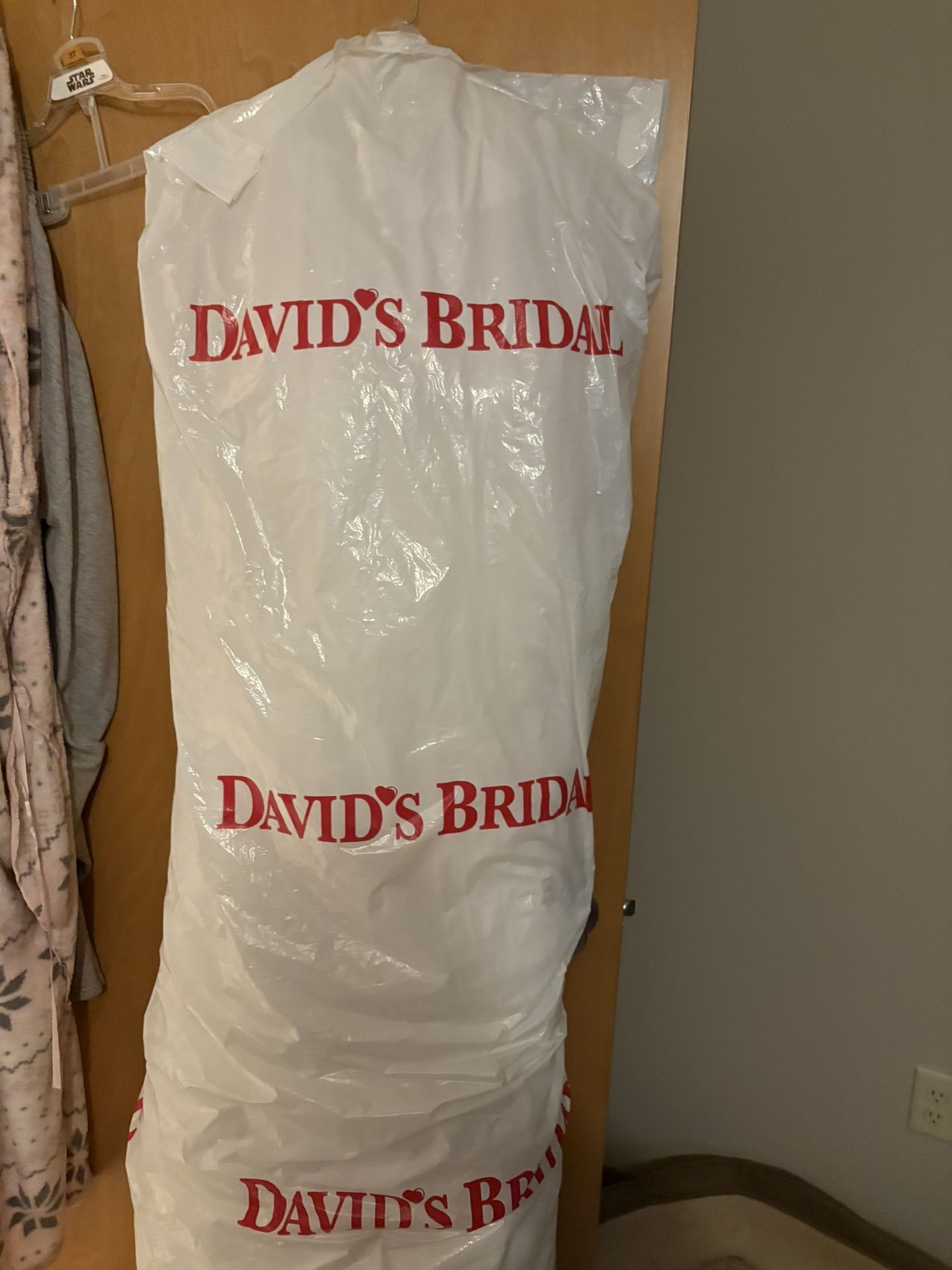 Wedding Dress Size 22 NWT White From David’s Bridal