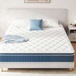 Queen Mattress 
