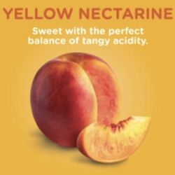 Yellow Nectarine Tree 🌳💛