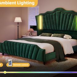 Queen Bed With LED Lights 