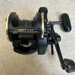 Daiwa Sealine SL20SH