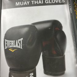 MMA PRO STYLE MUAY THAI GLOVES 