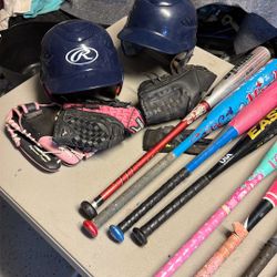 Baseball And Softball Equipment Bats And Gloves 