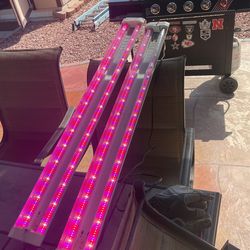 LED Plant Grow Lights