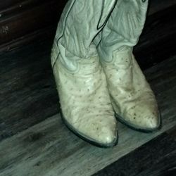 Ostrich  Cowboy Boots 