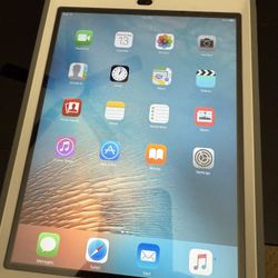 iPad Mini 1st Gen - 16g 