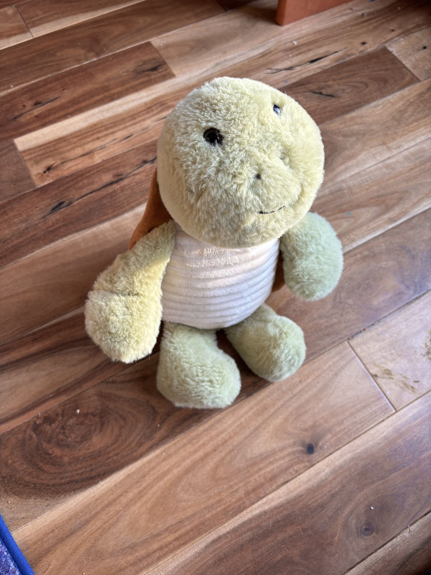 Turtle Plush Warm Buddy!
