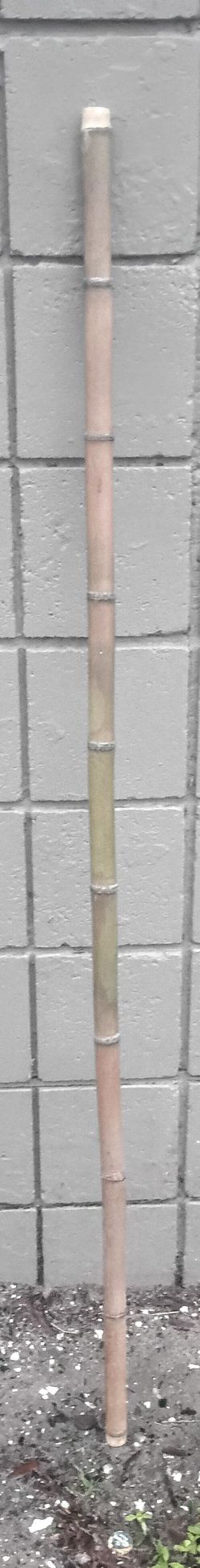 Bamboo Walking Stick