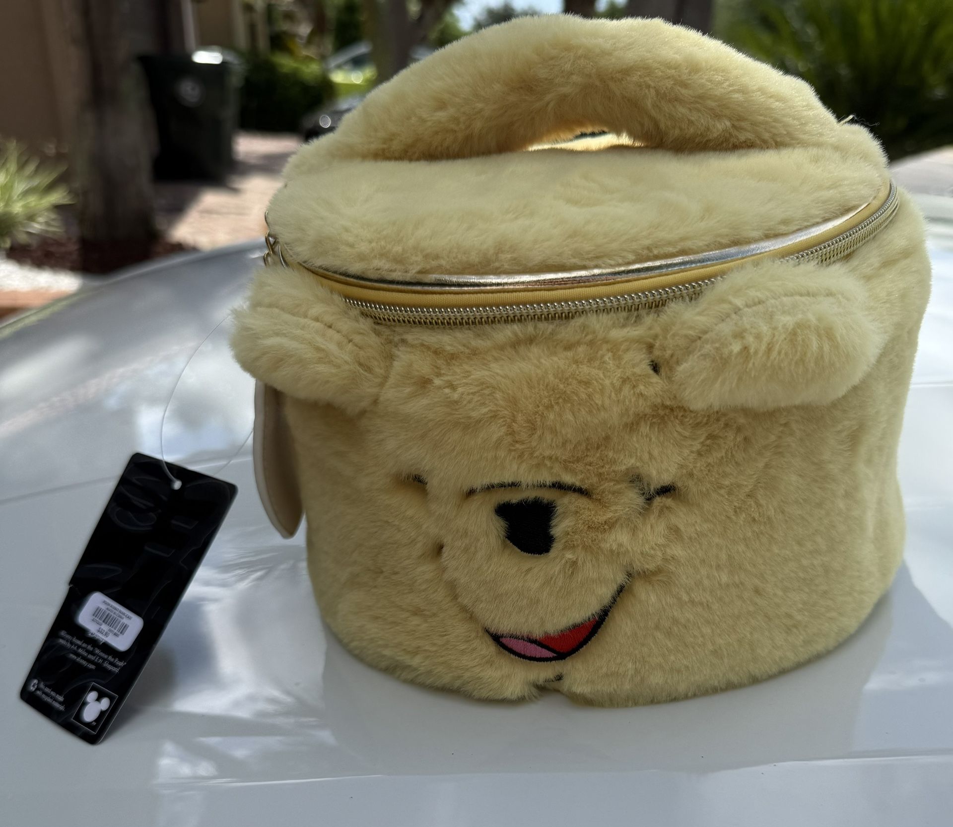 Winnie The Pooh Round Plush Case 