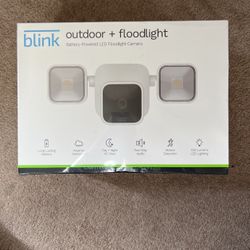 Blink Outdoor + Floodlight 