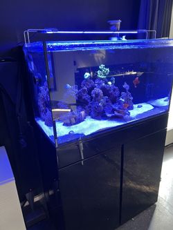 70 Gallon Fish Tank