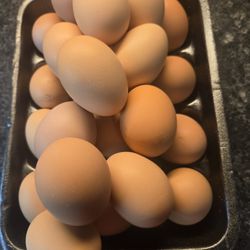 Eggs