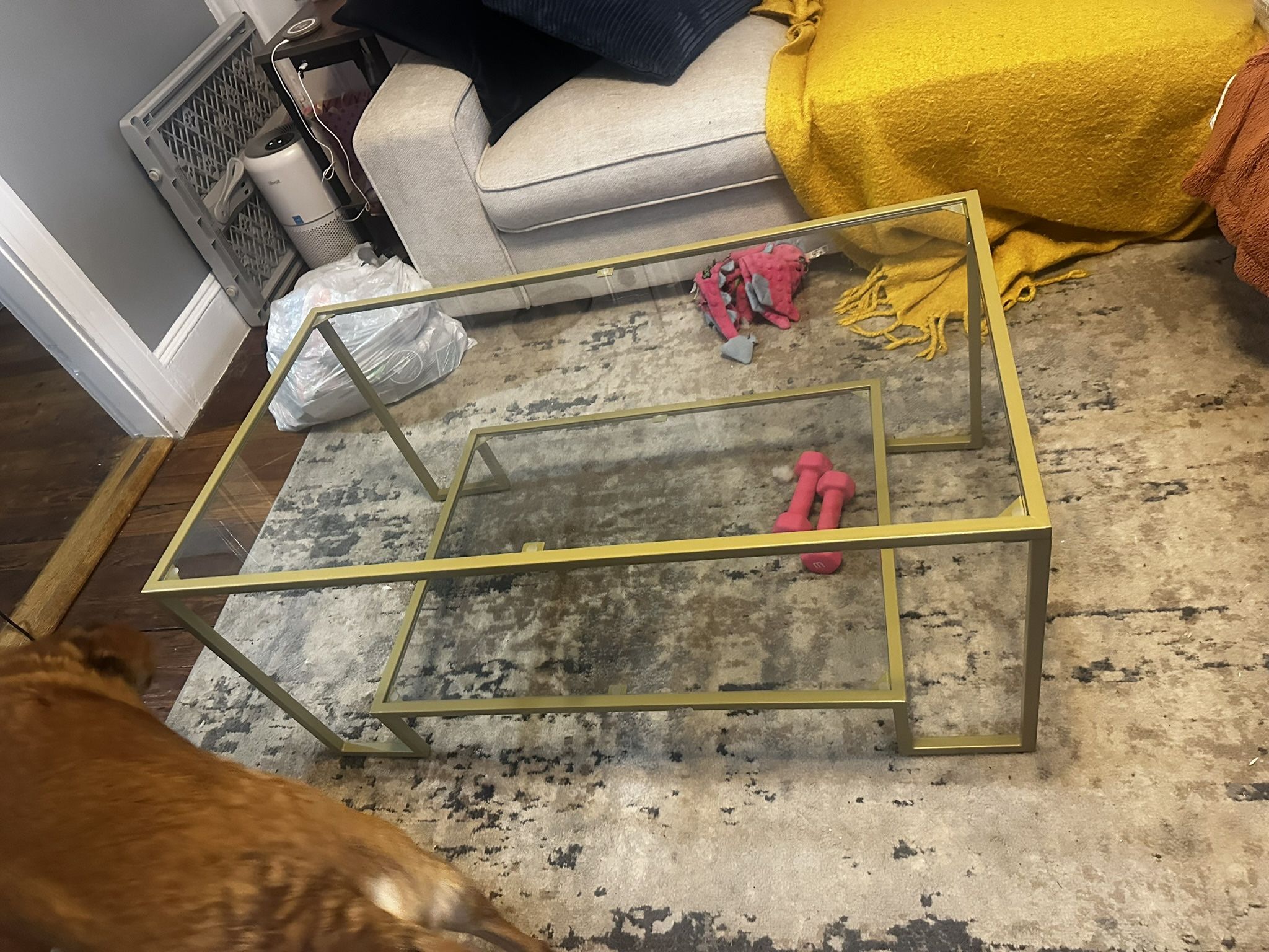 Gold Glass Coffee Table!